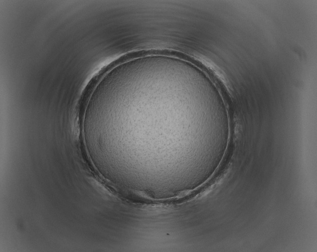 X0000116570973200912241631