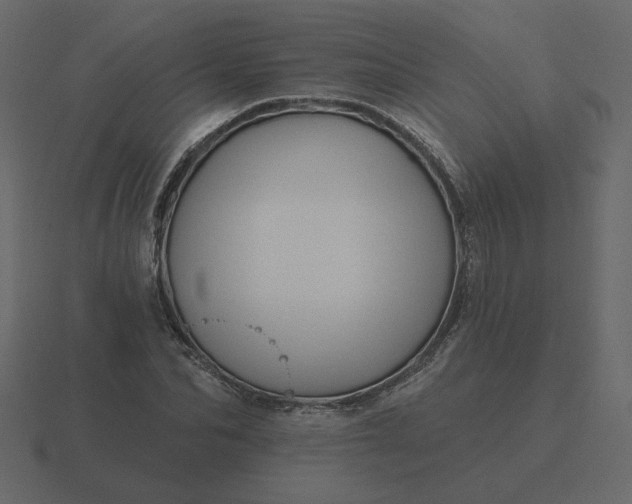 X0000116570974200912241631