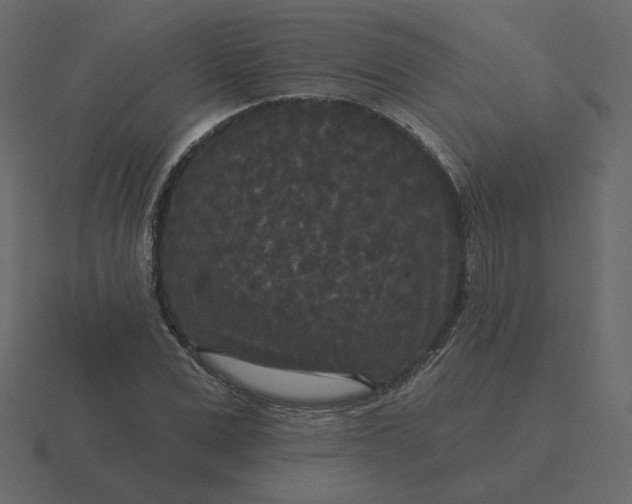 X0000116570975200912241631