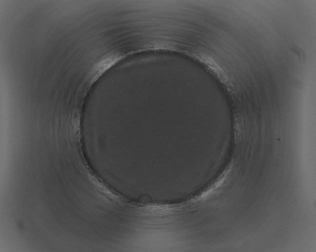 X0000116570977200912241631