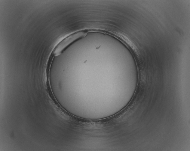 X0000116570980200912241631