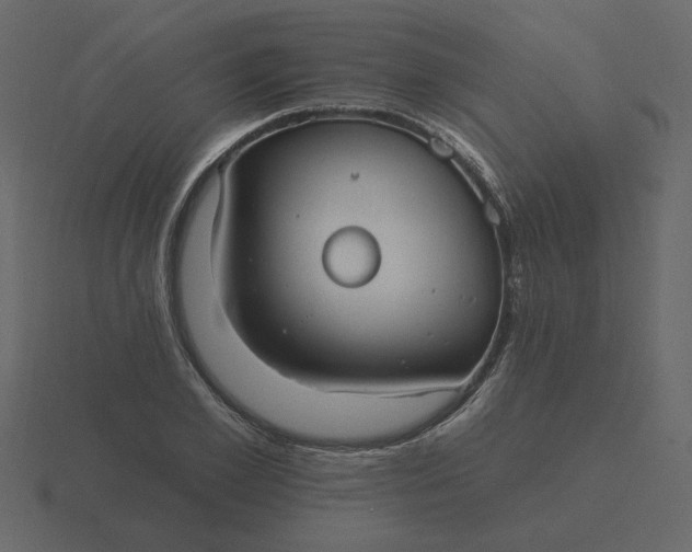 X0000116570981200912241631