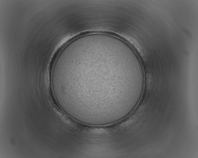 X0000116570982200912241631