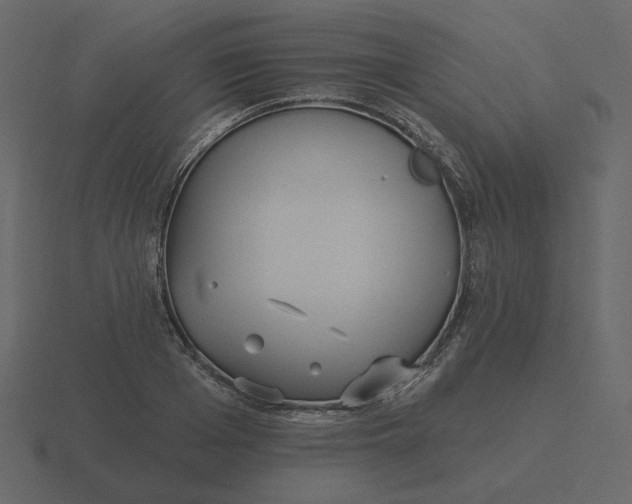 X0000116570985200912241631