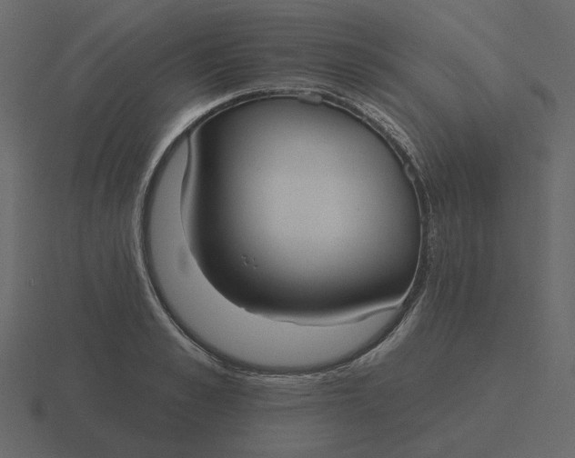 X0000116570989200912241631