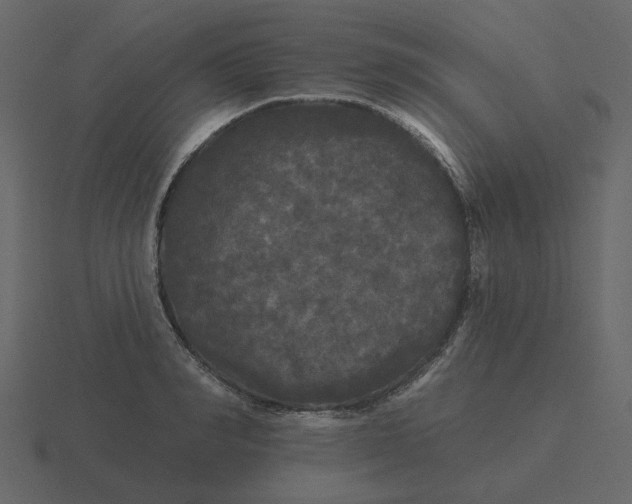 X0000116570990200912241631