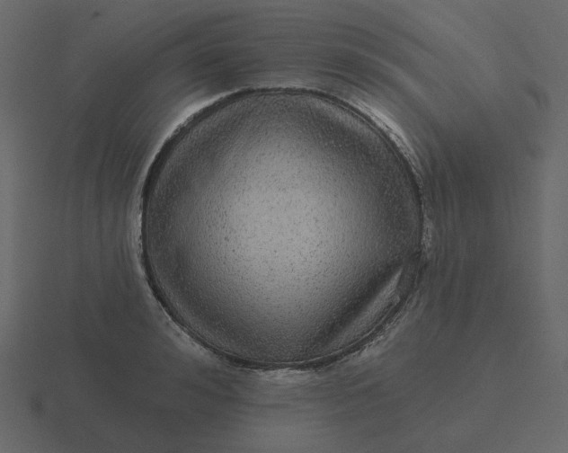 X0000116570992200912241631