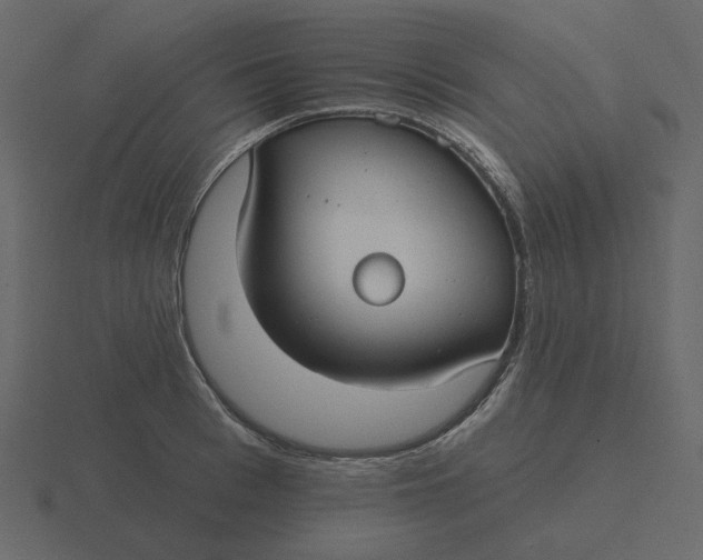 X0000116570993200912241631