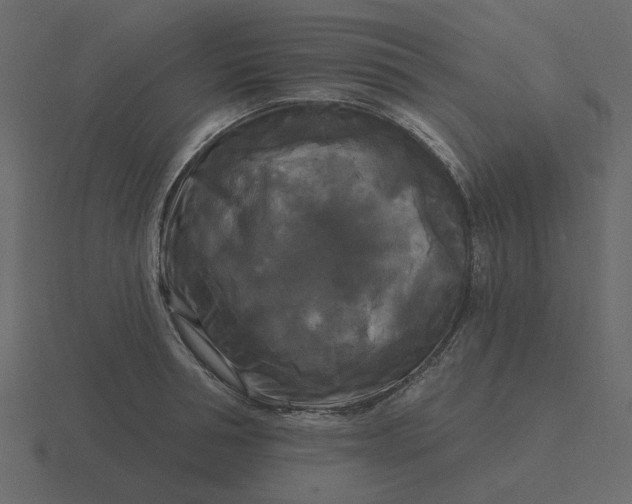 X0000116570994200912241631