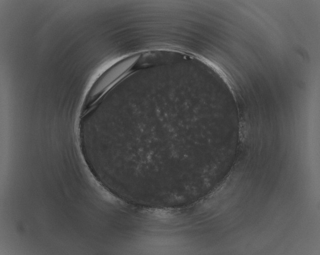 X0000116570995200912241631