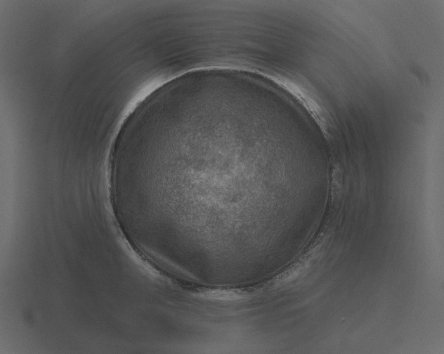 X0000116570998200912241631