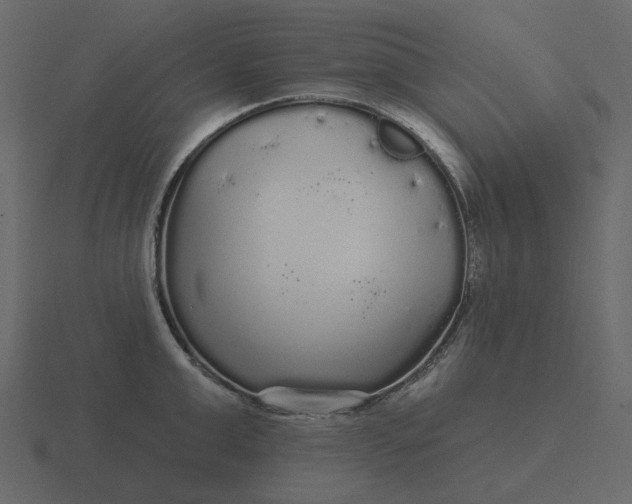 X0000116570999200912241631