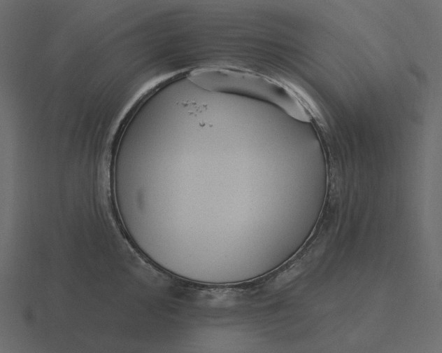 X0000116571000200912241631