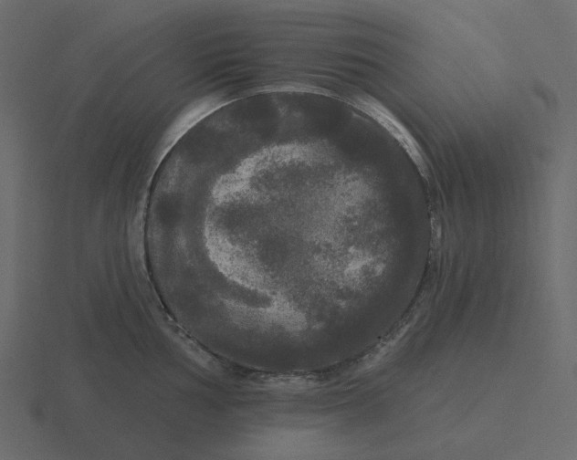 X0000116571002200912241631