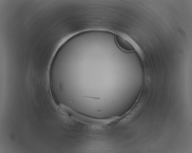 X0000116571004200912241631