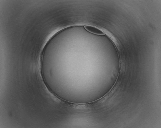 X0000116571006200912241631