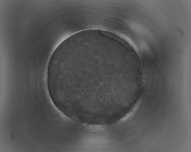 X0000116571007200912241631