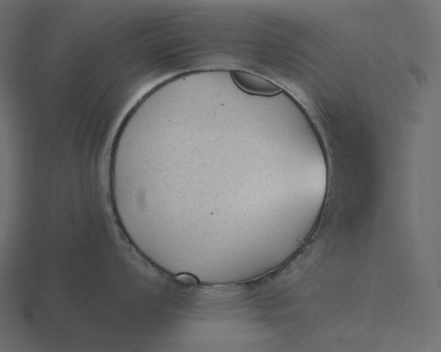 X0000116571008200912241631