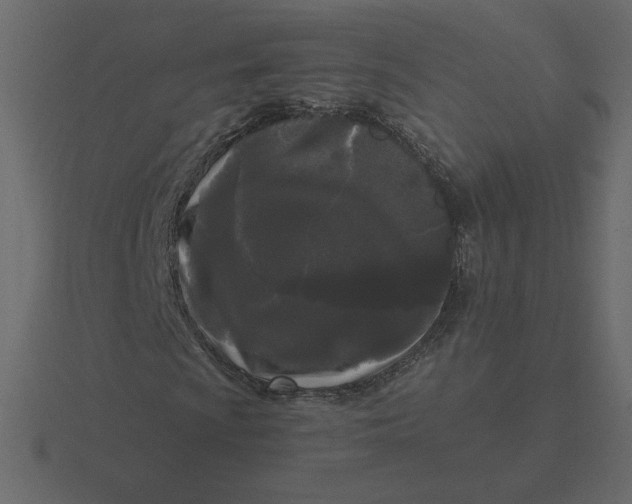 X0000116571009200912241630