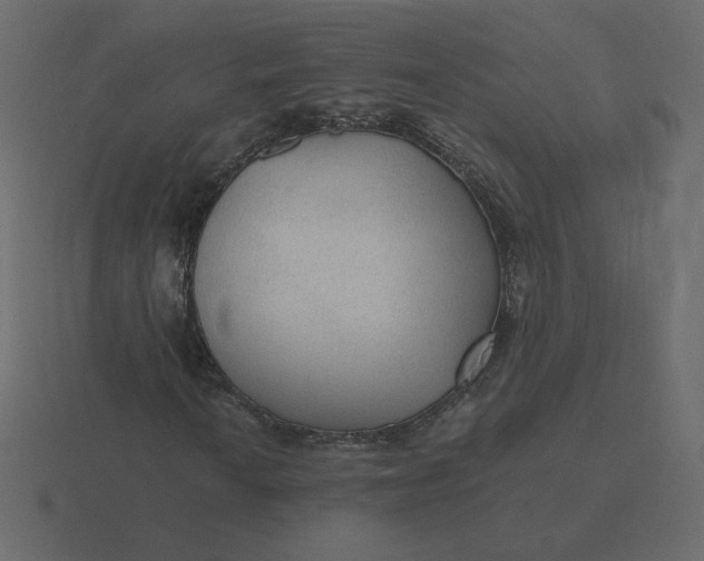 X0000116571010200912241630