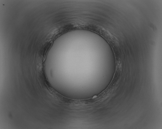 X0000116571012200912241630