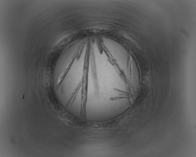 X0000116571014200912241630