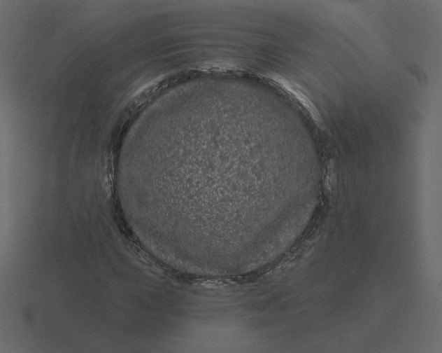 X0000116571015200912241630