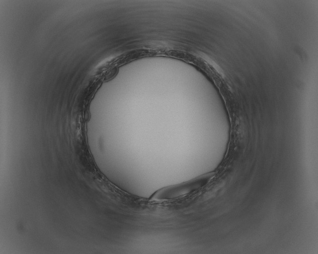 X0000116571016200912241630