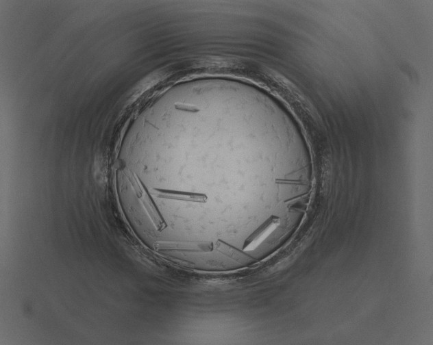 X0000116571017200912241630