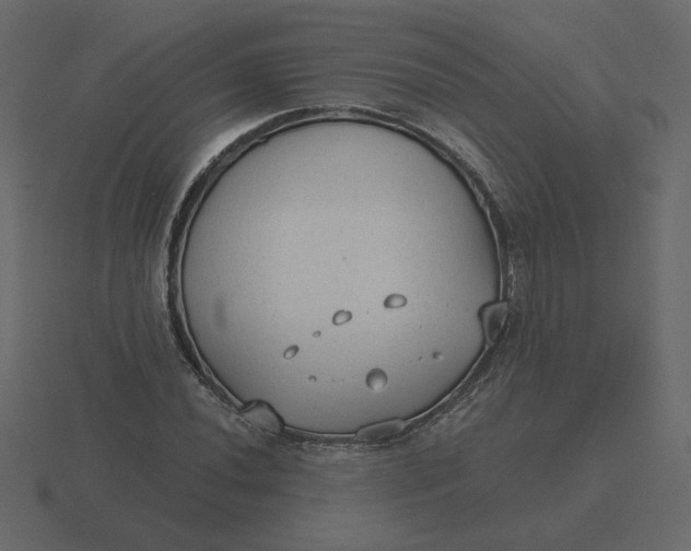 X0000116571020200912241630