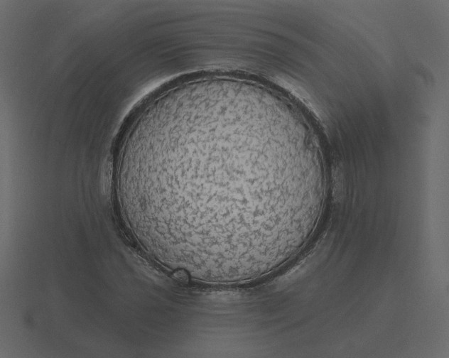 X0000116571021200912241630