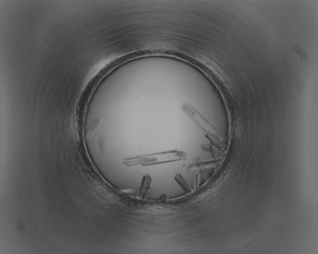 X0000116571022200912241630