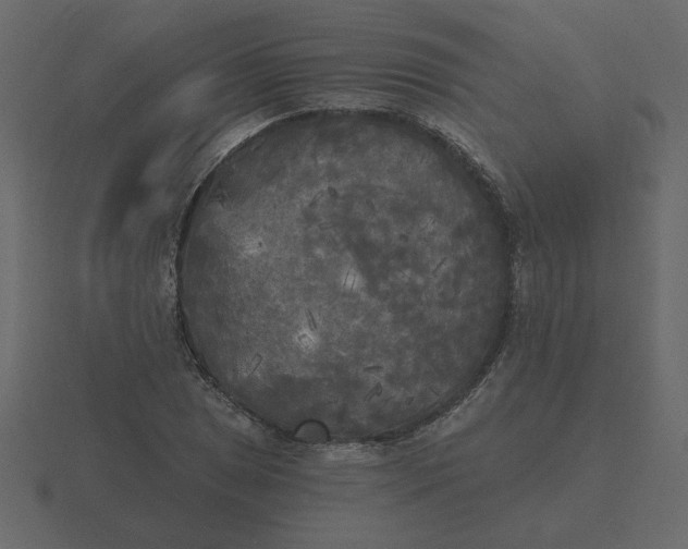 X0000116571025200912241630