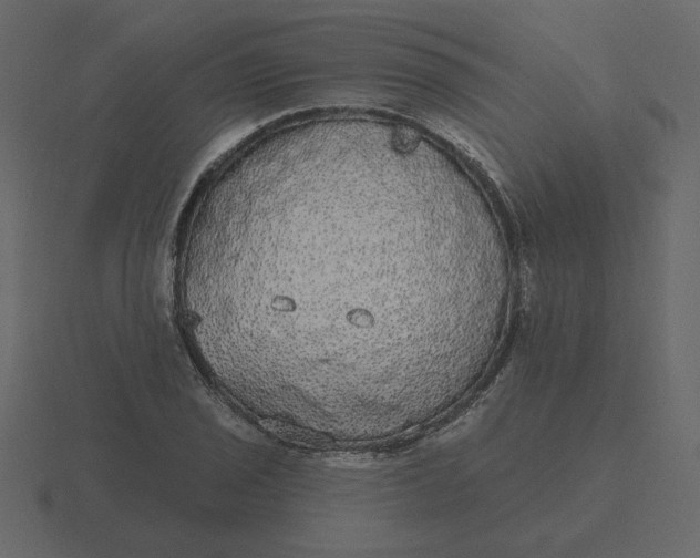 X0000116571029200912241630