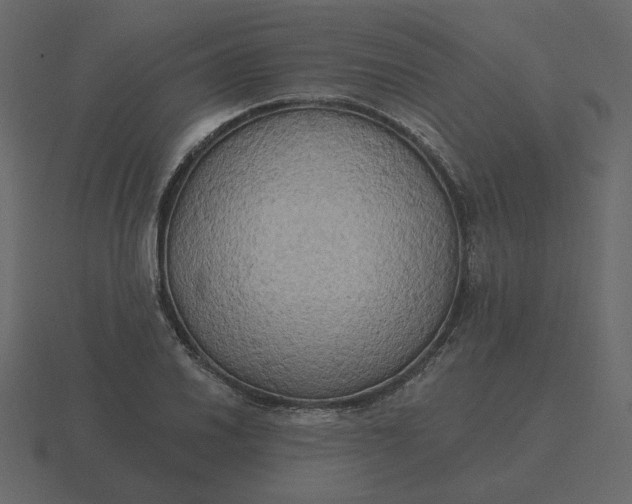 X0000116571030200912241630