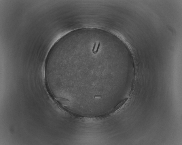 X0000116571032200912241630