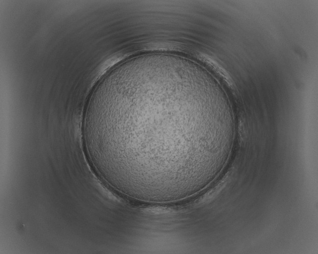 X0000116571033200912241630