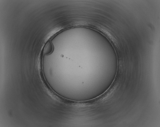 X0000116571034200912241630