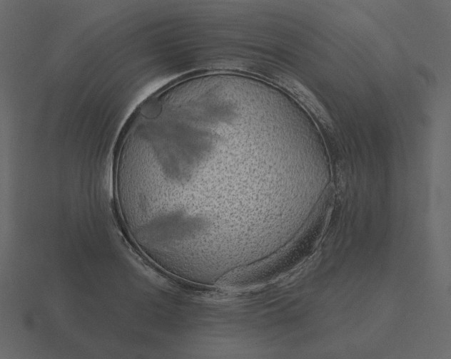 X0000116571036200912241630