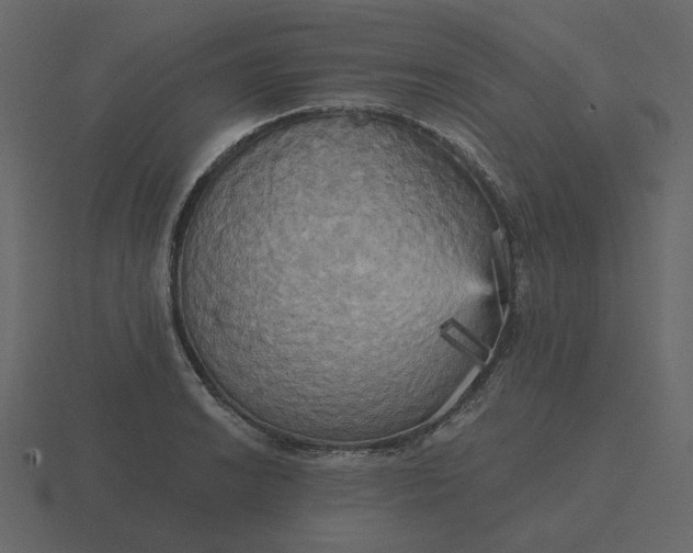 X0000116571038200912241630