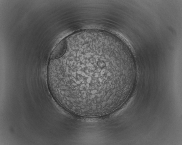 X0000116571041200912241631