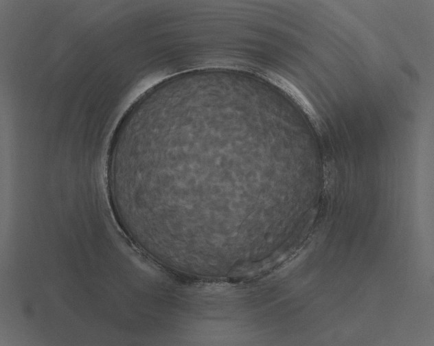 X0000116571043200912241631