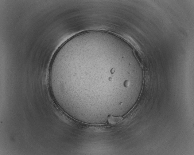 X0000116571044200912241631