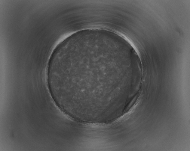 X0000116571045200912241631