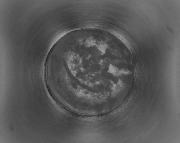 X0000116571047200912241631