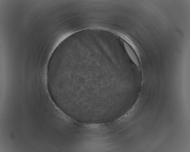 X0000116571048200912241631