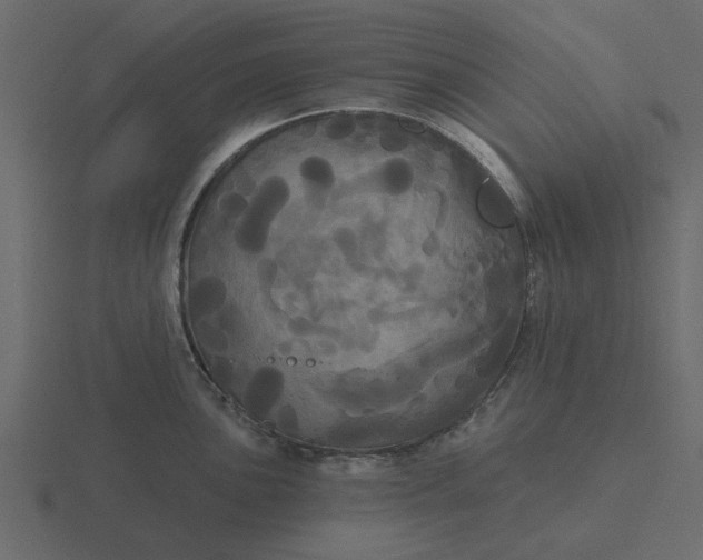 X0000116571051200912241631