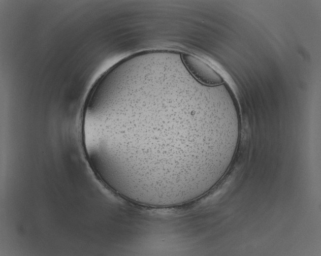 X0000116571053200912241631