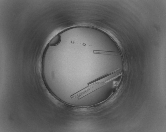 X0000116571054200912241631