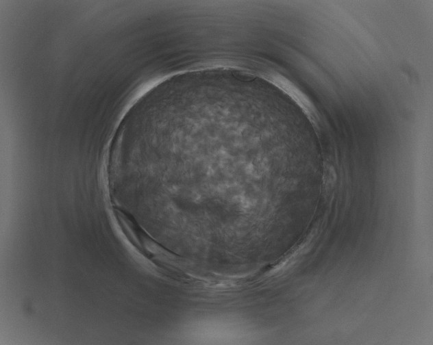 X0000116571055200912241631